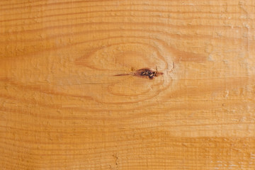 Old wooden planks. Background wood texture.