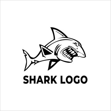 Sharks,fish logo