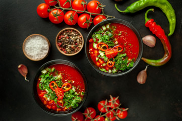 Fototapeta na wymiar Traditional spanish cold tomato soup gazpacho on concrete background