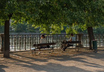 Summer evening on park benches. A young lady and a man sitting on two park benches facing the river. Picture taken in strong back light illuminating leaves above the benches and throwing long shadows.