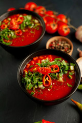 Traditional spanish cold tomato soup gazpacho on concrete background