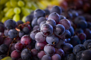 fresh grapes within the local market in Naples