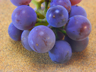grape isolated on white background