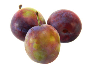 plum isolated on white background