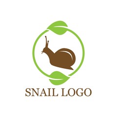Fototapeta na wymiar Snail logo vector in isolated white background