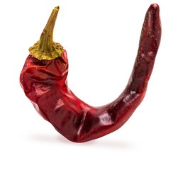 1 dry red chilli pepper Isolated on white background.