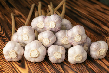 Heads of garlic with dry stalks on a wooden table