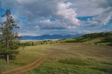 Beautiful evening summer landscape of Altai. Empty dirt road. Nature and travel. Russia, Siberia