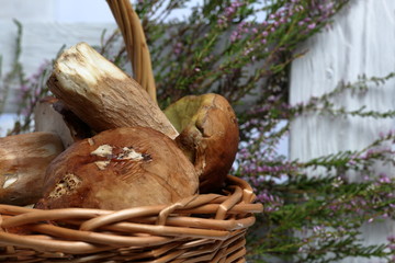 Wicker goat with porcini mushrooms. In the background is a bunch of blooming heather.