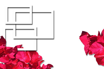 Flowers design elements and flowers background