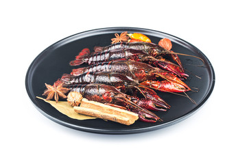 Crayfish,Crawfish isolated on white background