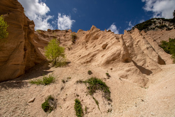 Fototapeta premium Lame Rosse