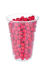 Ripe rowan berries in disposable cup isolated on white background