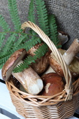 Wicker basket with porcini mushrooms and a bunch of blooming heather. Shot on a background of coarse linen fabric with a sheet of fern.