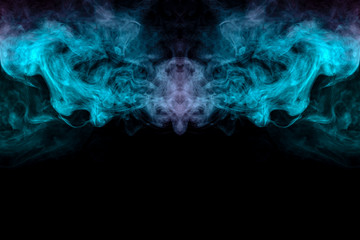 A mystical image of a creature, animal or ghost with wings and a beak of green and pink smoke on a black isolated background. Print for clothes.