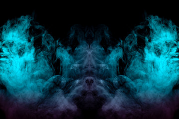 A mystical monster of smoke of green and pink with wings paws and a muzzle with ears. Print on clothes.