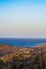 aruba one happy island (beaches and shores)