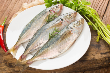 Fish mackerel，raw mackerel with and spices