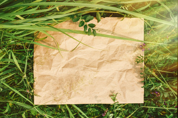 Creative background from craft paper in green natural grass. Concept of ecological products, nature