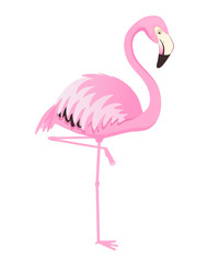 Pink flamingo stands on one leg. Cartoon illustration