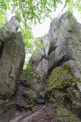 Fototapeta na wymiar Rock formations in Sulov rocks, Slovakia