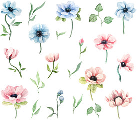 Fototapety  Watercolor hand drawn floral elements