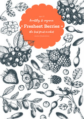 Berries hand drawn vector illustration frame. Hand drawn sketch illustration with goji berries, chokeberry, blueberry, blackberry, raspberry, strawberry. Healthy food design template with berries