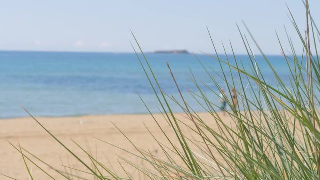 Girls tourists walk on desert beach. Sandbeach with femele tourist walking on sandbeach. tropical paradise destination.