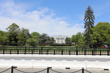 The White House
