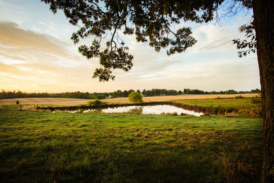 Serine early morning view over fields with pond in foreground.