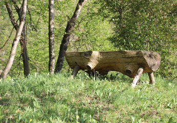 isolated altar used to religious rite in the forest