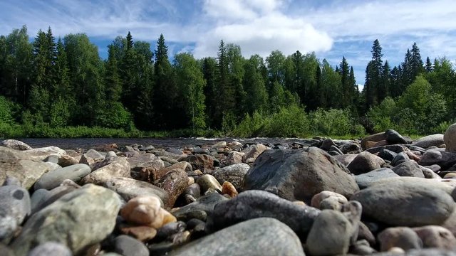 the Siberian taiga is a wild river with rocky shore in the background of dense coniferous taiga forests