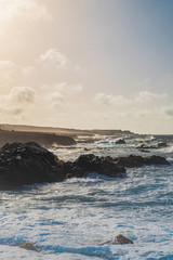 aruba one happy island (beaches and shores)