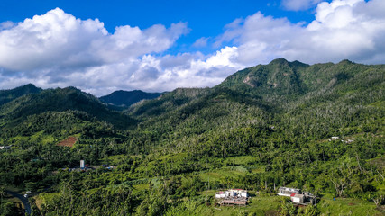 Fototapeta premium PAnoramic View to the Green Mountaing, Dominica Island