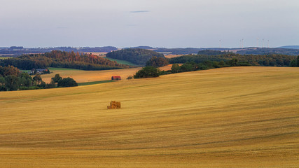 Obraz premium Blick über einen Acker am Abend