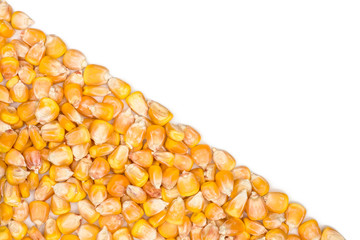 Corn isolated on white background, top view