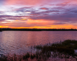 Obraz premium South Florida sunset at a nature preserve with blue, pink and orange sky