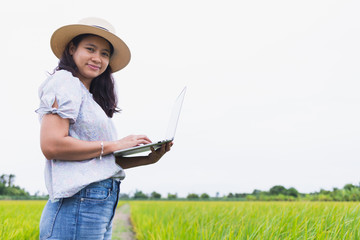 Beautiful asian women Standing in the rice field And are working using a laptop