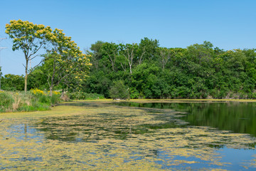 Shore of a Water Filled Quarry in Lemont Illinois