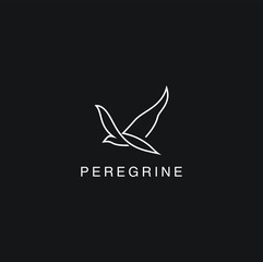 Peregrine logo design inspiration vector, line art