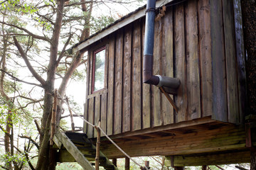 Treehouse in Norway in a green forest, sleeping accommodation September 2018