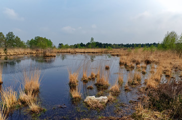 Pond on Coquibus plateau in trois pignons forest