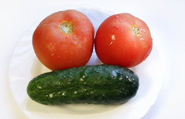 .fresh cucumber and tomato in a white plate on a white background