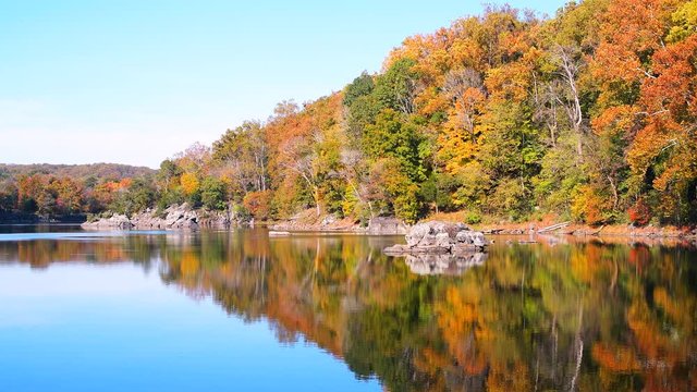 Great Falls in Maryland with yellow orange colorful autumn tree foliage leaves reflection in calm still water surface of river canal or lake with ripples 