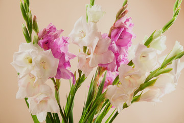 Beautiful bouquet of gladiolus flowers