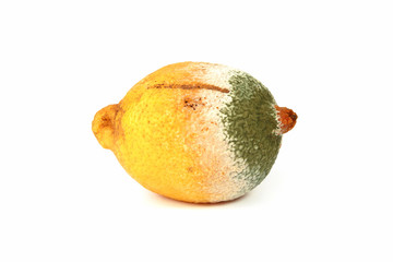 Citron moisi	