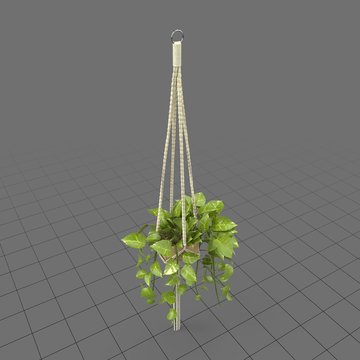 Hanging Plant 3D Images – Browse 12 3D Assets | Adobe Stock