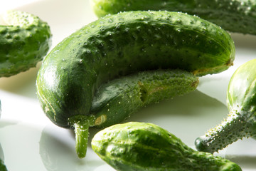 Ugly freak organic cucumber on a white background. The concept of organic vegetables.