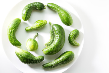 Ugly freak organic cucumber on a white background. The concept of organic vegetables. The view from the top. Space for text