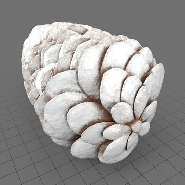 Frosted pine cone 1